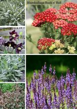 Translation missing: sv.sections.featured_product.gallery_thumbnail_alt